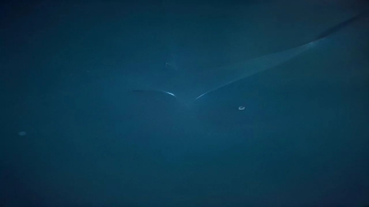 A single droplet of clear viscous liquid suspended mid-fall against a dark background under strong directional light